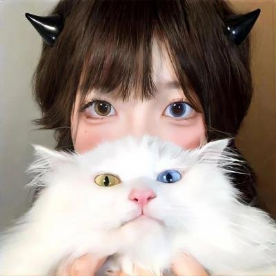 明日方舟：焰烬曙明日语 封面